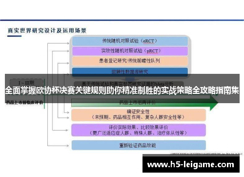 全面掌握欧协杯决赛关键规则助你精准制胜的实战策略全攻略指南集 全面掌握欧协杯决赛关键规则助你精准制胜的实战策略全攻略指南集