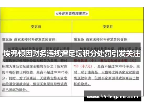 埃弗顿因财务违规遭足坛积分处罚引发关注 埃弗顿因财务违规遭足坛积分处罚引发关注
